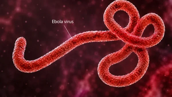 Ebola Outbreak in Congo Raises Global Alarm