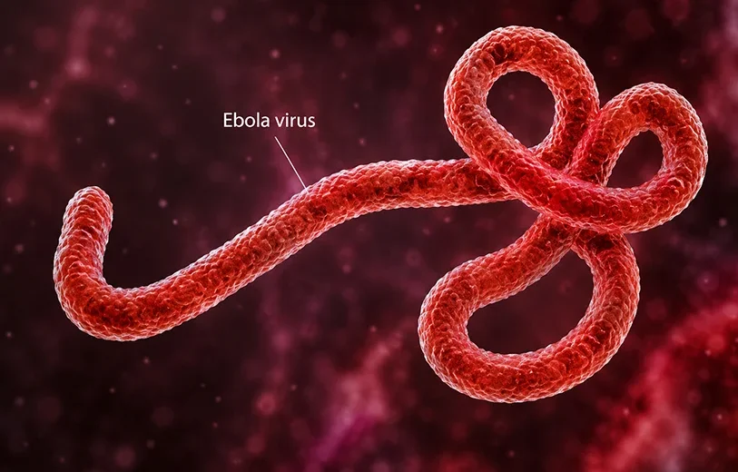 Ebola Outbreak in Congo Raises Global Alarm