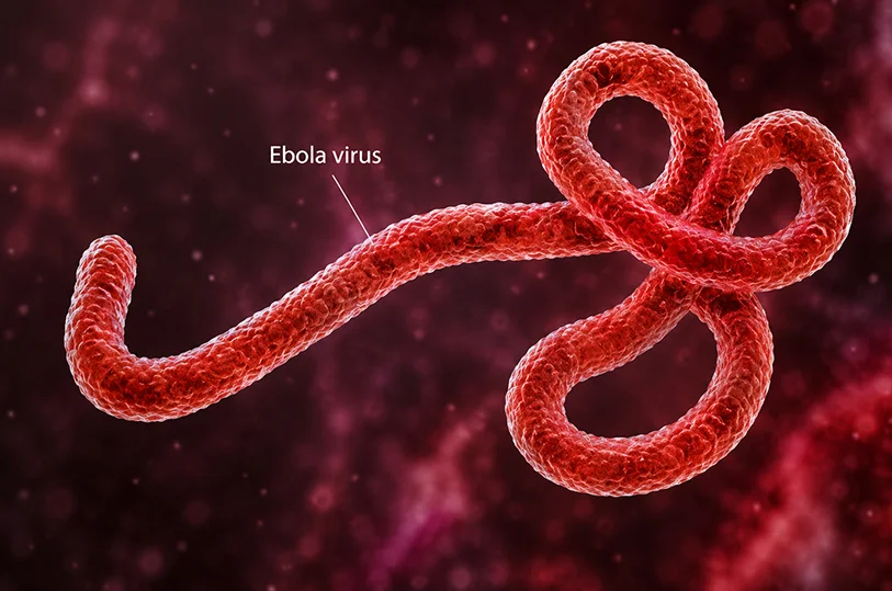 Ebola Outbreak in Congo Raises Global Alarm