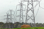 Power Crisis Hits 9 Indian States, Night-Time Electricity Cuts Feared