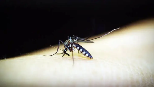Dengue Cases Raise Concern Ahead of Ekta Parade, 21 BSF Personnel Test Positive in Gujarat