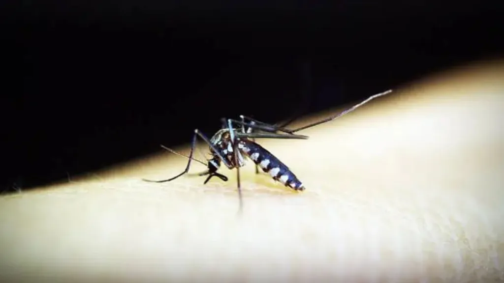 Dengue Cases Raise Concern Ahead of Ekta Parade, 21 BSF Personnel Test Positive in Gujarat